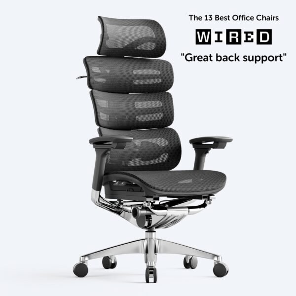 OdinLake O2 (Ergo MAX 747) | Three-Section Backrest Chair - Image 2