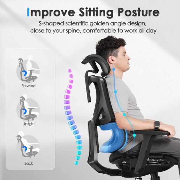 OdinLake L1 (Ergo UPGRADE 518) | Ergonomic Office Chair - Image 3