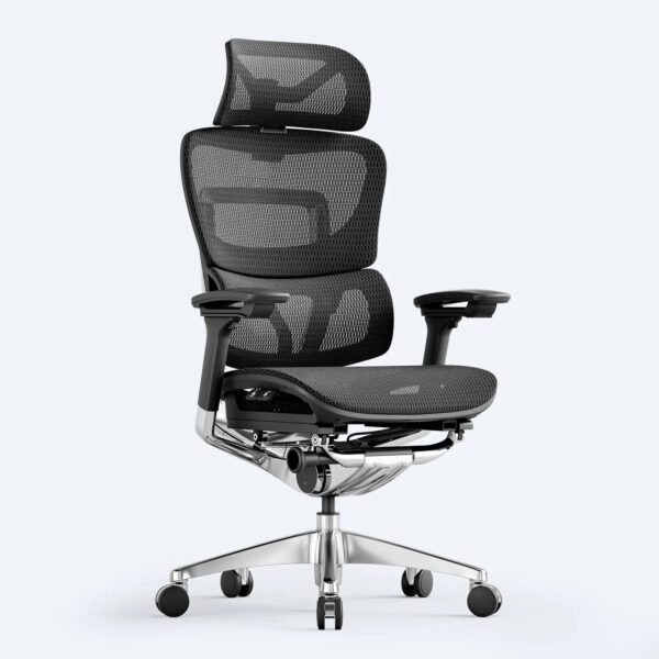 OdinLake O1 (Ergo PLUS 743) | Flex Mesh Chair - Image 3