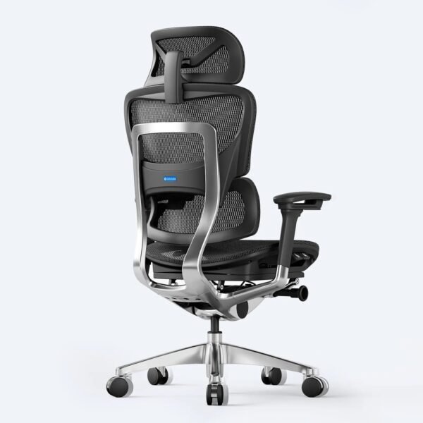 OdinLake O1 (Ergo PLUS 743) | Flex Mesh Chair - Image 8