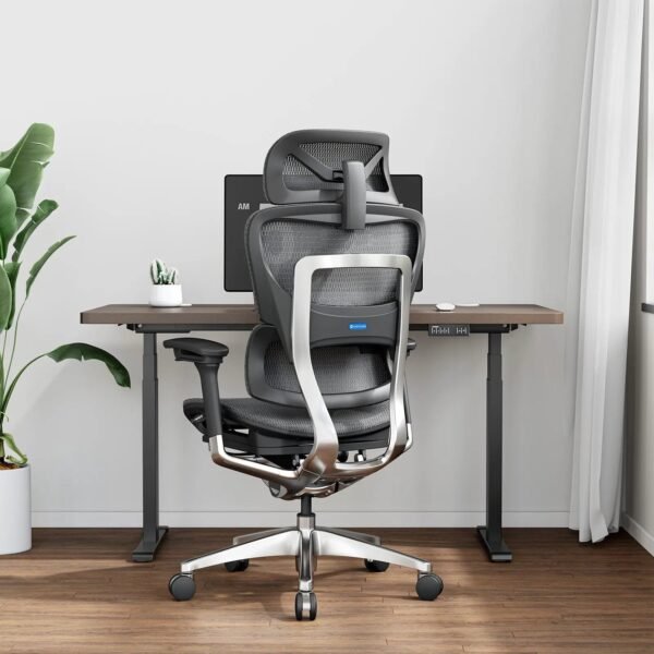 OdinLake O1 (Ergo PLUS 743) | Flex Mesh Chair