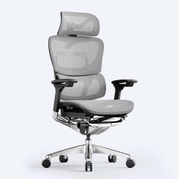 OdinLake O1 (Ergo PLUS 743) | Flex Mesh Chair - Image 9