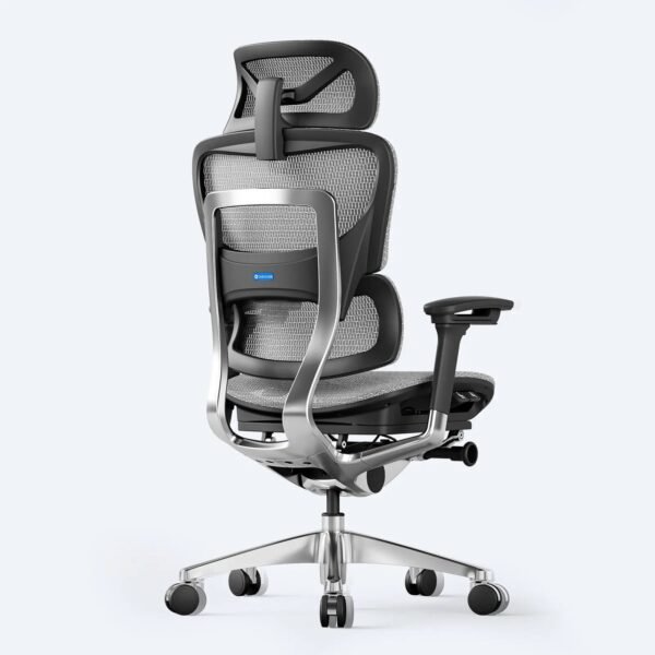 OdinLake O1 (Ergo PLUS 743) | Flex Mesh Chair - Image 10