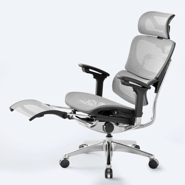 OdinLake O1 (Ergo PLUS 743) | Flex Mesh Chair - Image 12