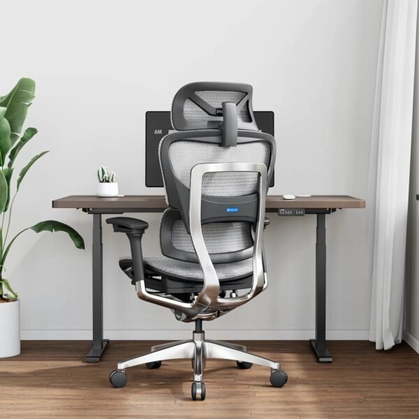 OdinLake O1 (Ergo PLUS 743) | Flex Mesh Chair - Image 14