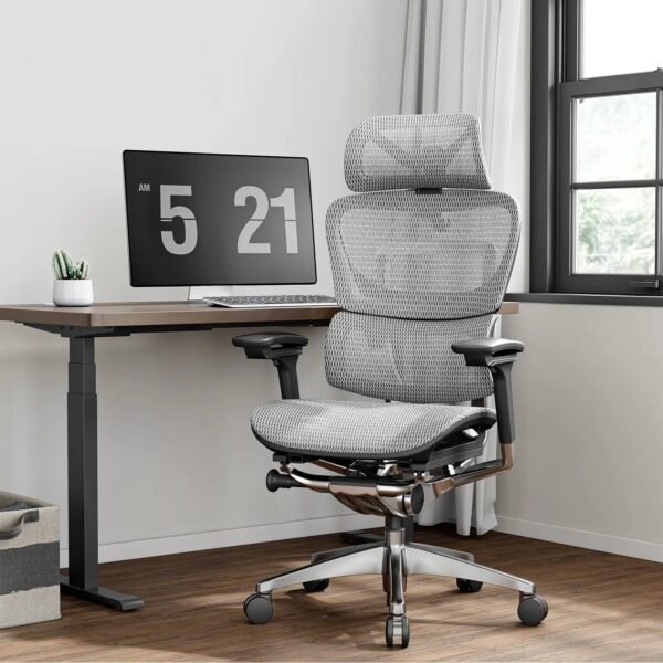 OdinLake O1 (Ergo PLUS 743) | Flex Mesh Chair - Image 13