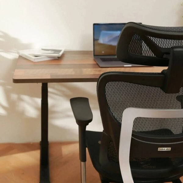 OdinLake O1 (Ergo PLUS 743) | Flex Mesh Chair - Image 6