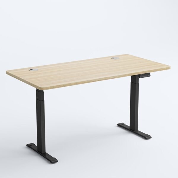 OdinLake Standing Desk S450 - Image 18