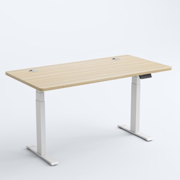 OdinLake Standing Desk S450 - Image 13