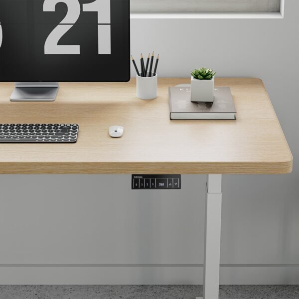 OdinLake Standing Desk S450 - Image 15