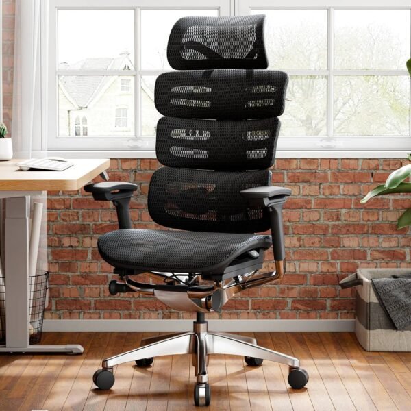 OdinLake O2 (Ergo MAX 747) | Three-Section Backrest Chair