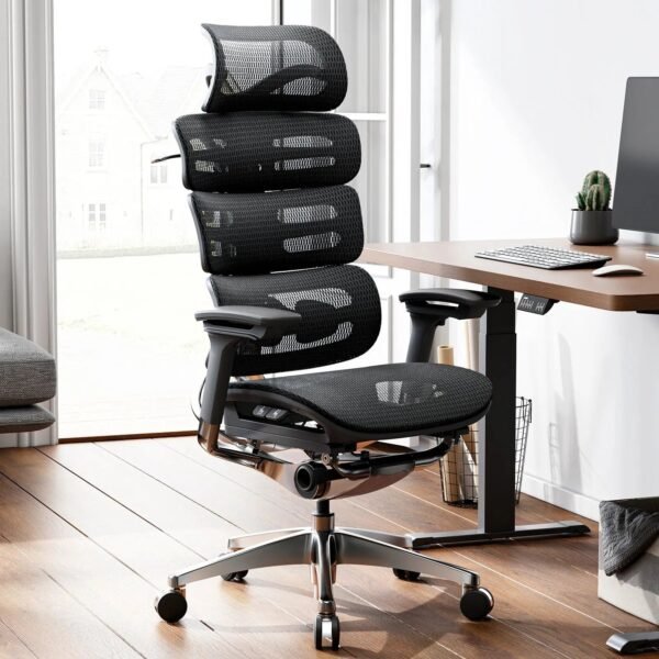 OdinLake O2 (Ergo MAX 747) | Three-Section Backrest Chair - Image 3