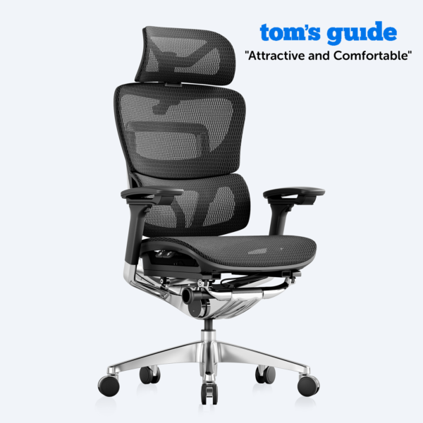OdinLake O1 (Ergo PLUS 743) | Flex Mesh Chair - Image 2